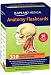 Anatomy Flashcards