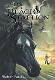 Son of the Black Stallion by Farley, Walter [1991]