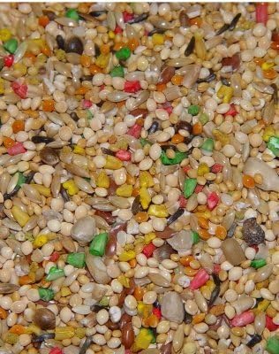Higgins Vita Seed Finch 2lb by HIGGINS PET FOOD