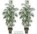 TWO 6' Artificial Bamboo Palm Trees, with No Pot,