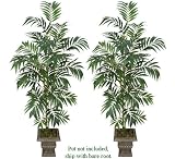 TWO 6' Artificial Bamboo Palm Trees, with No Pot,