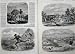 1863 Melbourne Australia Government Bourke Hunting