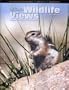 Arizona Wildlife Views