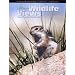 Arizona Wildlife Views
