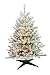 Barcana 4-Foot Flocked Tabletop Christmas Tree with 100 Clear Mini