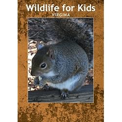 Wildlife for Kids