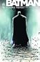 Batman : sombre reflet, tome 1