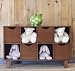 Bratt Decor blu Storage Cubbie in Wheat Stain