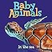 Baby Animals In the Sea
