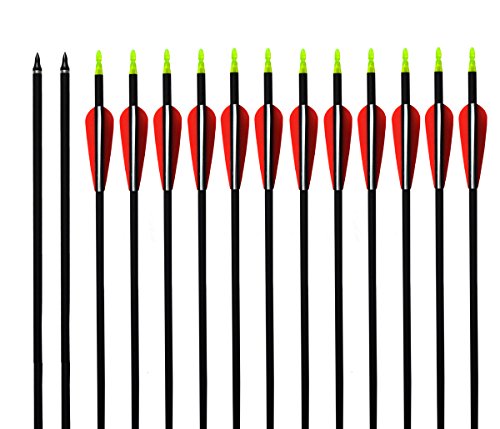 Albertu Arrow 31   Outdoor Targeting Arrow 2 Red 1 White Plastic Vanes Carbon Archery with Screw-In Replaceable Field Points-12 Pack