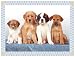 NAP'S Dog Placemat, Puppies