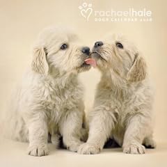 Official Rachael Hale Dogs Calendar 2008 2008