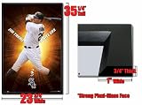 Framed Chicago White Sox Jim Thome Poster Fr204246