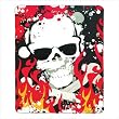 Skull Fleece Blanket Skull Fleece Blanket