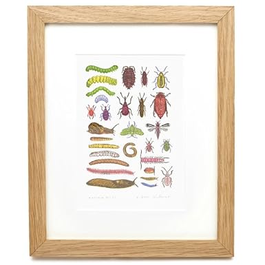 Garden Pests by John Dilnot (Framed Print)
