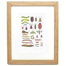 Garden Pests by John Dilnot (Framed Print)