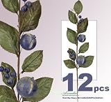 12 pieces of 15" Hand Wrapped Artificial Berry Pick