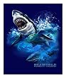 Shark Fleece Throw