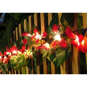 Red Frangipani Flower Party String Lights (20/set)
