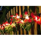 Return to product information