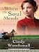 When the Soul Mends (Thorndike Press Large Print Christian Fiction)