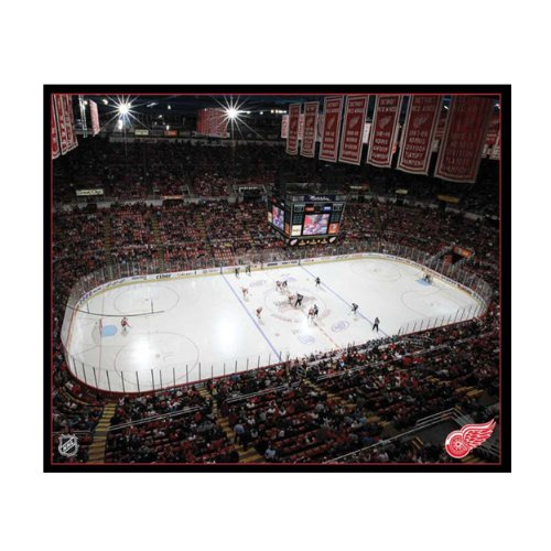NHL Detroit Red Wings Arena 22x28 Canvas Art