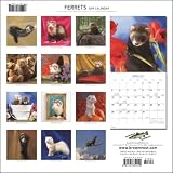 Ferrets 2009 Calendar 画像