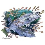White Seabass and Squid Fishing T-Shirt