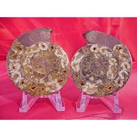 Matched Set of 2.49