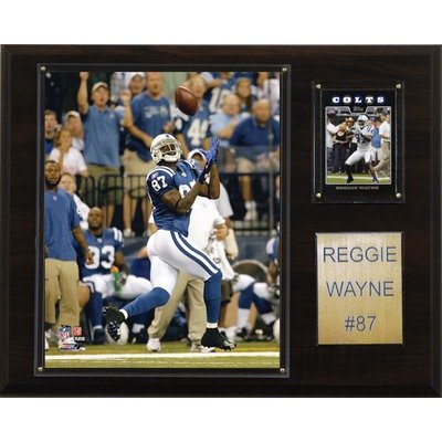 NFL Indianapolis Colts Reggie Wayne Player Plaque