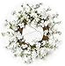 Darby Creek Dogwood Spring Wreath - 28 inch
