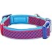 Blueberry Pet Collars For Dogs 3/4