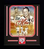 Stan Musial St. Louis Cardinals Career Collage Framed 8x10 Photograph with Team Medallion