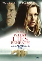 ホワット･ライズ･ビニース (特別編) [DVD]