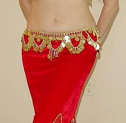 Gold Coin Belt with Loops of Coins
