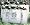 The Planet Bag Set of Six (6) 100% Cotton Cloth Grocery Totes
