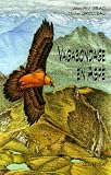 Vagabondage en Aspe