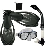 PROMATE Snorkeling Scuba Dive Mask Fins DRY Snorkel Gear Set, Titanium, ML/XL