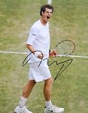 Signed Andy Murray Photo - Tennis8x10