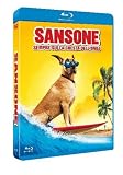 Sansone