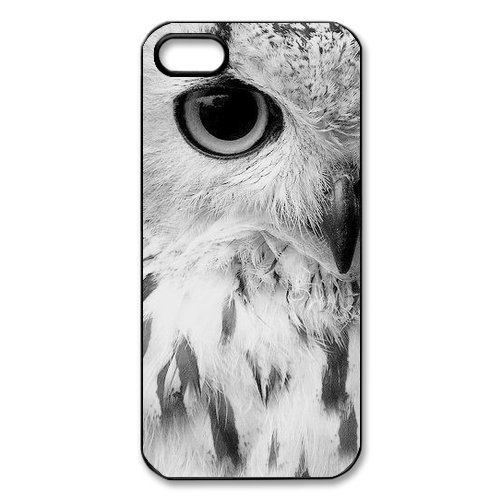 Vintage Owl Hard Case Cover Skin for iphone 5, Retro Owl Hard Case Cover Skin for iphone 5