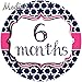12 Monthly Baby Stickers, Pink & Navy Blue, Girl, Baby Belly Stickers, Monthly Onesie Stickers, First Year Stickers Months 1-12, Pink & Navy Blue, Nautical, Baby Girl