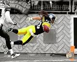 Pittsburgh Steelers Troy Polamalu 8x10 Color Photo