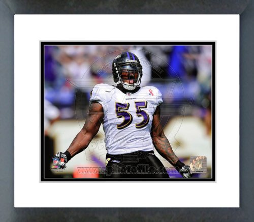 Baltimore Ravens Terrell Suggs 2011 Action Framed Picture 8x10