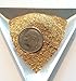 Yuba River Gold Panning Paydirt