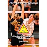 a program with purpose thoughts on building a successful volleyball program