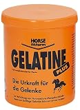 Pharmaka   32509 Gelatine plus Erg&auml;nzungs- futtermittel 1 kg