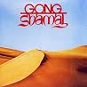 Image de l'album de Gong