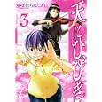 天にひびき ３<br>やまむら はじめ <br>少年画報社<br>580円<br>ISBN:9784785935573