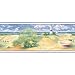Martex Wallpaper Border - Pattern 135B52654